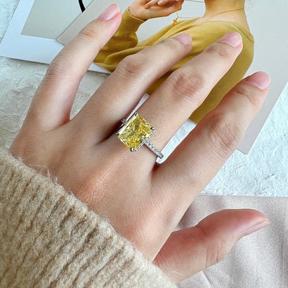[Windsor Jewelry]4.0 Carat Luxurious Engagement Ring