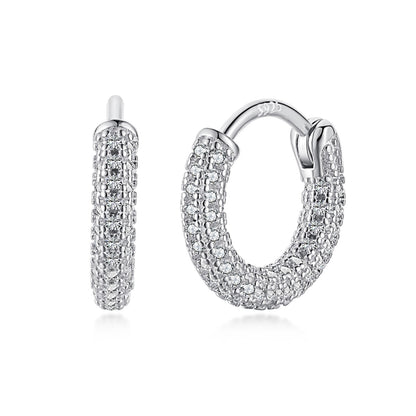 [Windsor Jewelry]Delicate Versatile Daily Earrings