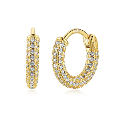 [Windsor Jewelry]Delicate Versatile Daily Earrings
